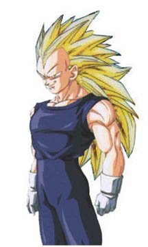 ssj5vegeta.jpg
